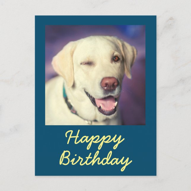 Retro Funny Dog und Happy Birthday Postcard Postkarte (Vorderseite)