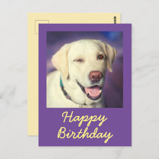Retro Funny Dog und Happy Birthday Postcard Postkarte