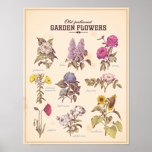 Retro Garden Blume Poster (Vorne)