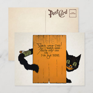 Retro-Halloween-Straßenkatze-Postkarte Postkarte