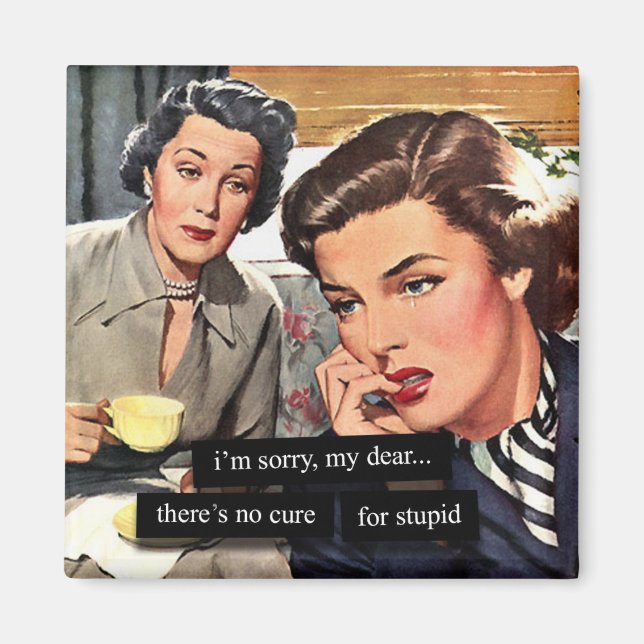 Retro Housefrau "Es gibt kein Heilmittel für Dummk Magnet (Vorne)