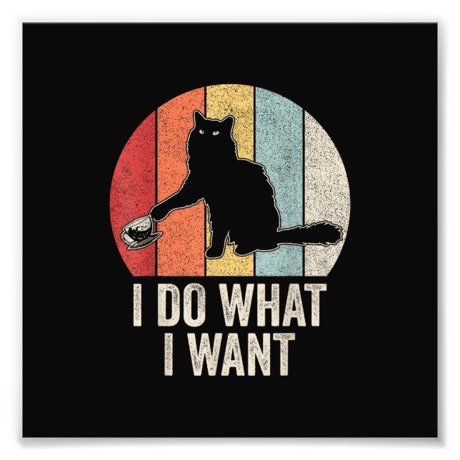 Retro I Do I What I Woll Cat Shirt Cat Lover Eigen Fotodruck (Vorne)