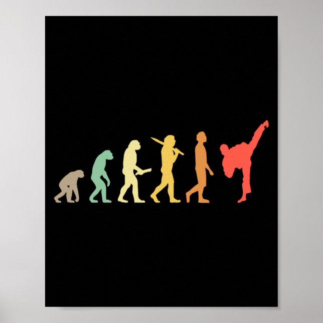 Retro Karate Evolution Geschenk für Karateka Poster (Vorne)