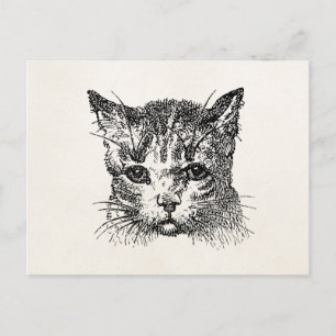 Retro Katzenkopf Katzen Kätzchen Tier Vintage Postkarte
