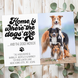 Retro Modern haben wir das Foto des Hundes nach Ma Ankündigung