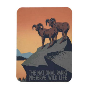 Retro National Parks Travel Poster Magnet