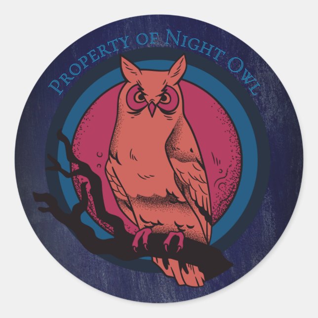 Retro Night Owl & Moon Spectrum Circle Sticker (Vorderseite)