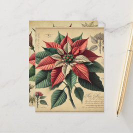 Retro Poinsettia Festivals Botanisches Bücherbuch