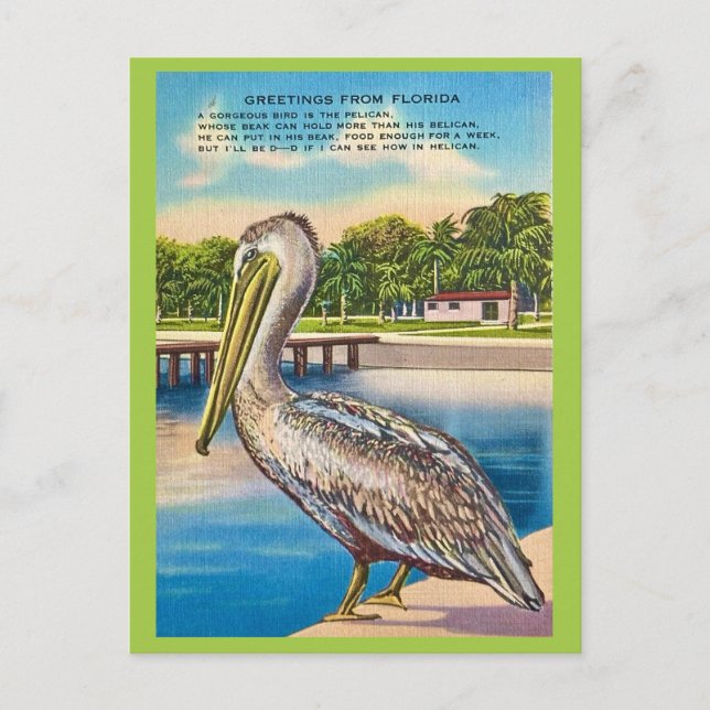 Retro-Postkarte von Florida  Postkarte (Vorderseite)