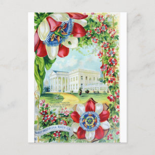 Retro-Reise nach Washington DC Weißen Haus Vintage Postkarte