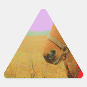 Retro Rosa Himmelskaffe Dreieckiger Aufkleber