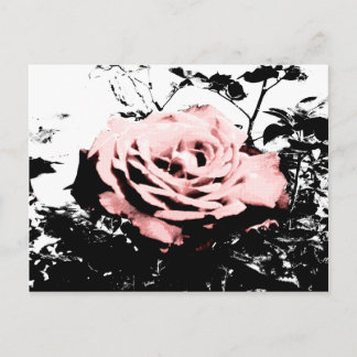 Retro-Rose Postkarte