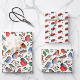 Retro Roter Weißer Rotkehlchen Weihnachten Frucht Geschenkpapier Set