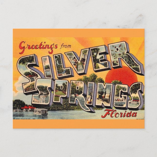 Retro Silver Springs Attraction Postkarte (Vorderseite)