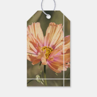 Retro-Sommer-Cosmea-Blüten Geschenkanhänger