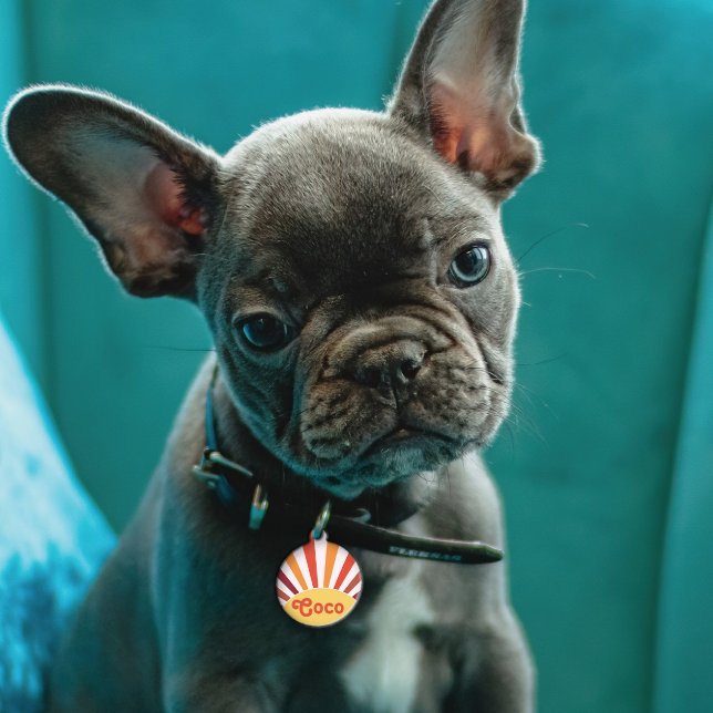 Retro Sunset Sun Rays Personalisierter Name Haustiermarke (Von Creator hochgeladen)