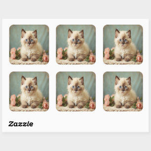 Retro Süßes Ragdoll-Kätzchen-Portrait Blumen Süß Quadratischer Aufkleber