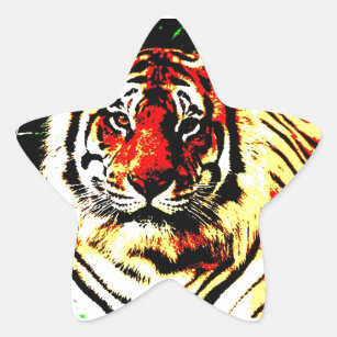 Retro Tiger Stern-Aufkleber