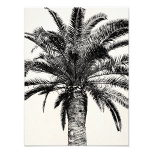 Retro Tropical Island Palm Tree in Schwarz-Weiß Fotodruck