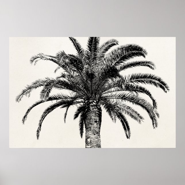 Retro Tropical Island Palm Tree in Schwarz-Weiß Poster (Vorne)