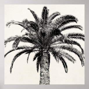 Retro Tropical Island Palm Tree in Schwarz-Weiß Poster