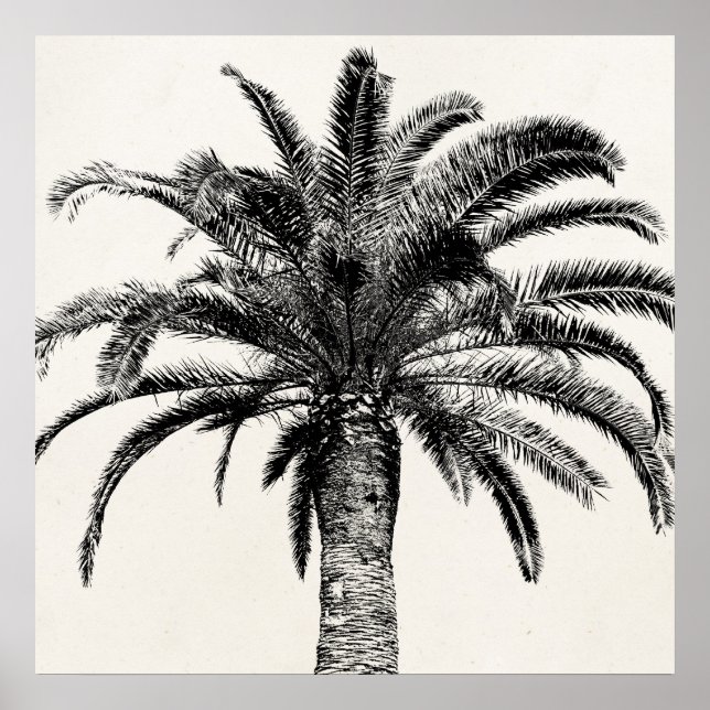 Retro Tropical Island Palm Tree in Schwarz-Weiß Poster (Vorne)