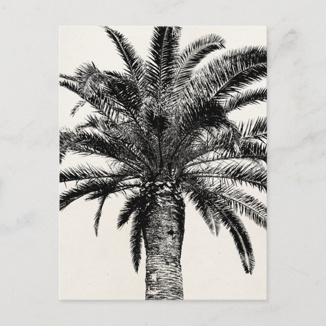 Retro Tropical Island Palm Tree in Schwarz-Weiß Postkarte (Vorderseite)