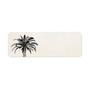 Retro tropische Insel-Palme in Schwarzweiss