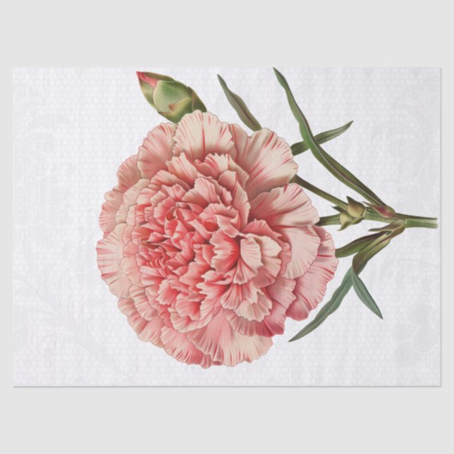 Retro Vintag Carnation Blume Seidenpapier (Vorderseite)