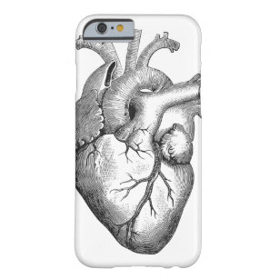Retro Vintage coole anatomische Herz-Skizze Barely There iPhone 6 Hülle