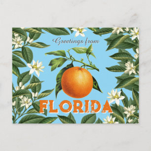 Retro-Vintage-Grüße aus Florida Orange Frucht  Postkarte