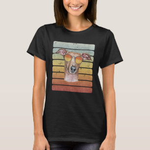 Retro Vintage Sonnenuntergang Italienisches Windsp T-Shirt