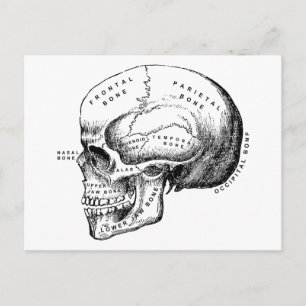 Retro-Vintage-Totenkopfprofil Postkarte