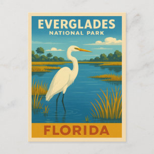 Retro Vintage Travel Florida Everglades Natur Postkarte