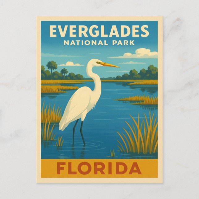 Retro Vintage Travel Florida Everglades Natur Postkarte (Vorderseite)