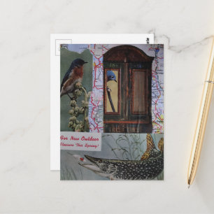 Retro-Vogel-und-Fisch-Collage Postkarte