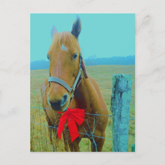 Retro Weihnachtspferd Feiertagspostkarte (Vorderseite)