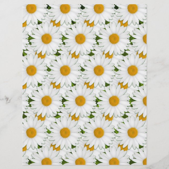 Retro White Daisies Sunny Floral Art Kunsthandwerk (Vorderseite)