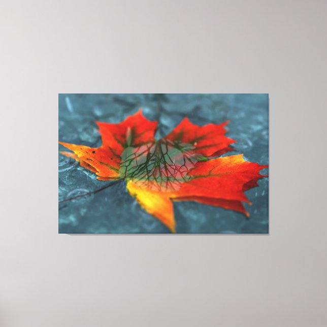 Retroreflektion Canvas Print Leinwanddruck (Vorderseite)