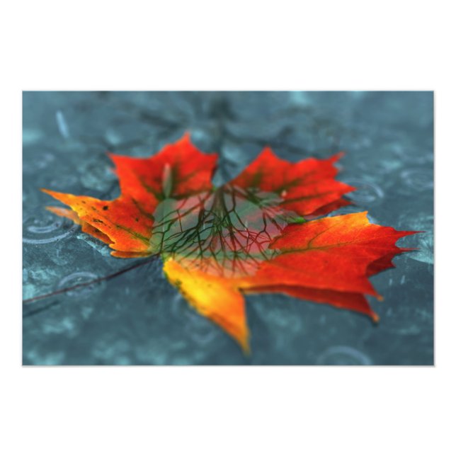 Retroreflektion Foto Print (Vorne)