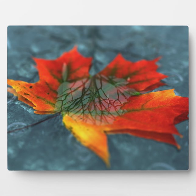 Retroreflektion Picture Plaque Fotoplatte (Vorderseite)