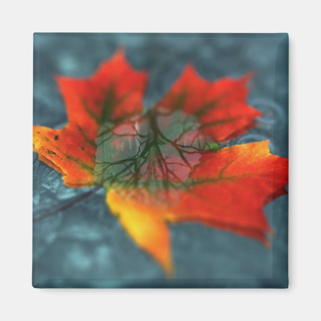 Retroreflektionsmagnet Magnet (Vorne)