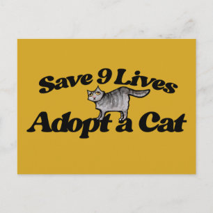 Rett 9 Leben Adoptiere eine Katze Postkarte