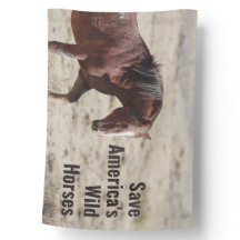 Rett Amerikas wilde Pferde