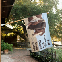 Rett Amerikas Wildpferde-Splaash