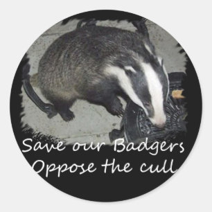 Rett britische Badgers, wende dich gegen die Badge Runder Aufkleber