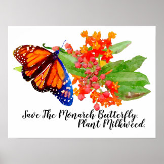 Rett den Monarchschmetterling. Pflanze Milkweed. Poster