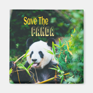 Rett den Panda Magnet