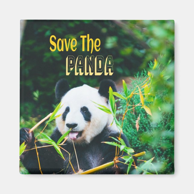 Rett den Panda Magnet (Vorne)