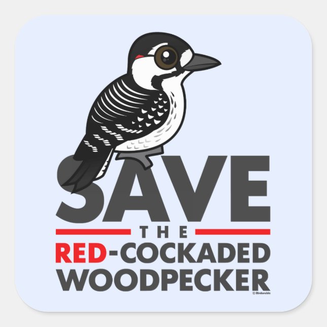 Rett den Rotcockaded Woodpecker Quadratischer Aufkleber (Vorderseite)